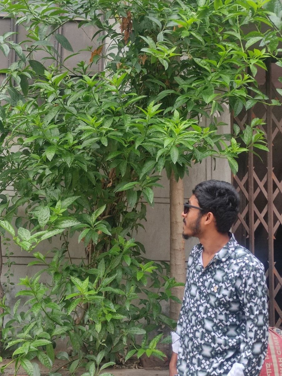 Photo of MdbillalKhan